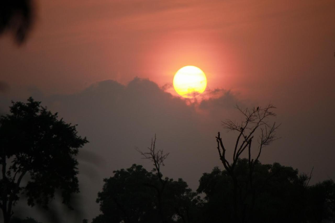 Vividearth Resorts บันดีปูร์ ภายนอก รูปภาพ