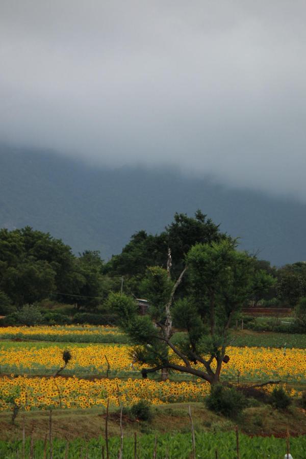 Vividearth Resorts บันดีปูร์ ภายนอก รูปภาพ